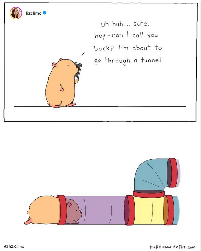 funny tunnel by Liz Climo.jpg